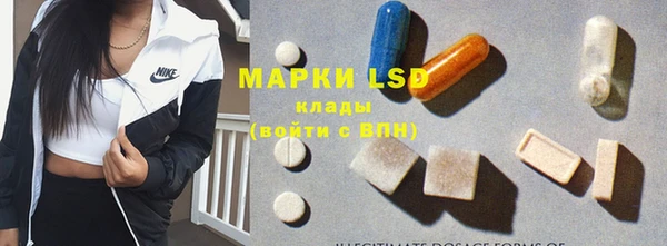 шишки Володарск