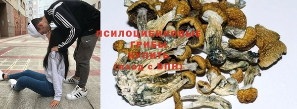 стафф Бородино