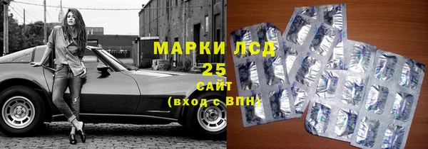 стафф Бородино