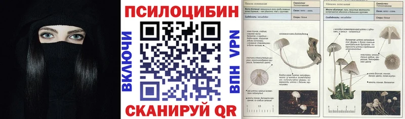 Псилоцибиновые грибы Cubensis Донецк